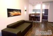 Odinė minkšta sofa